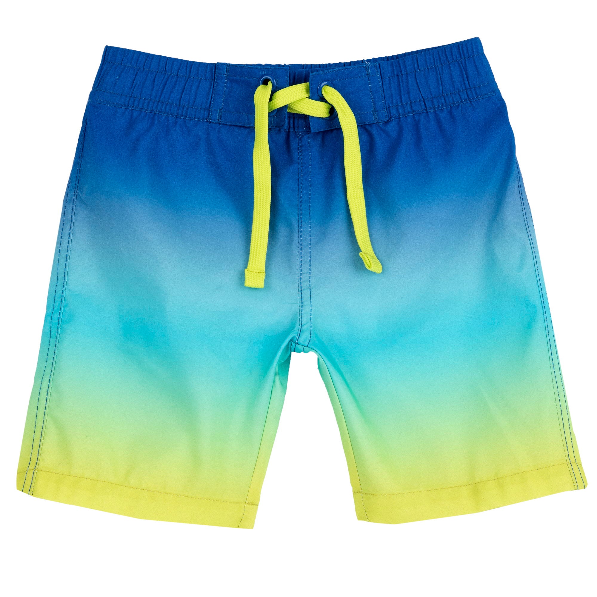 Boxer mare Chicco 101217