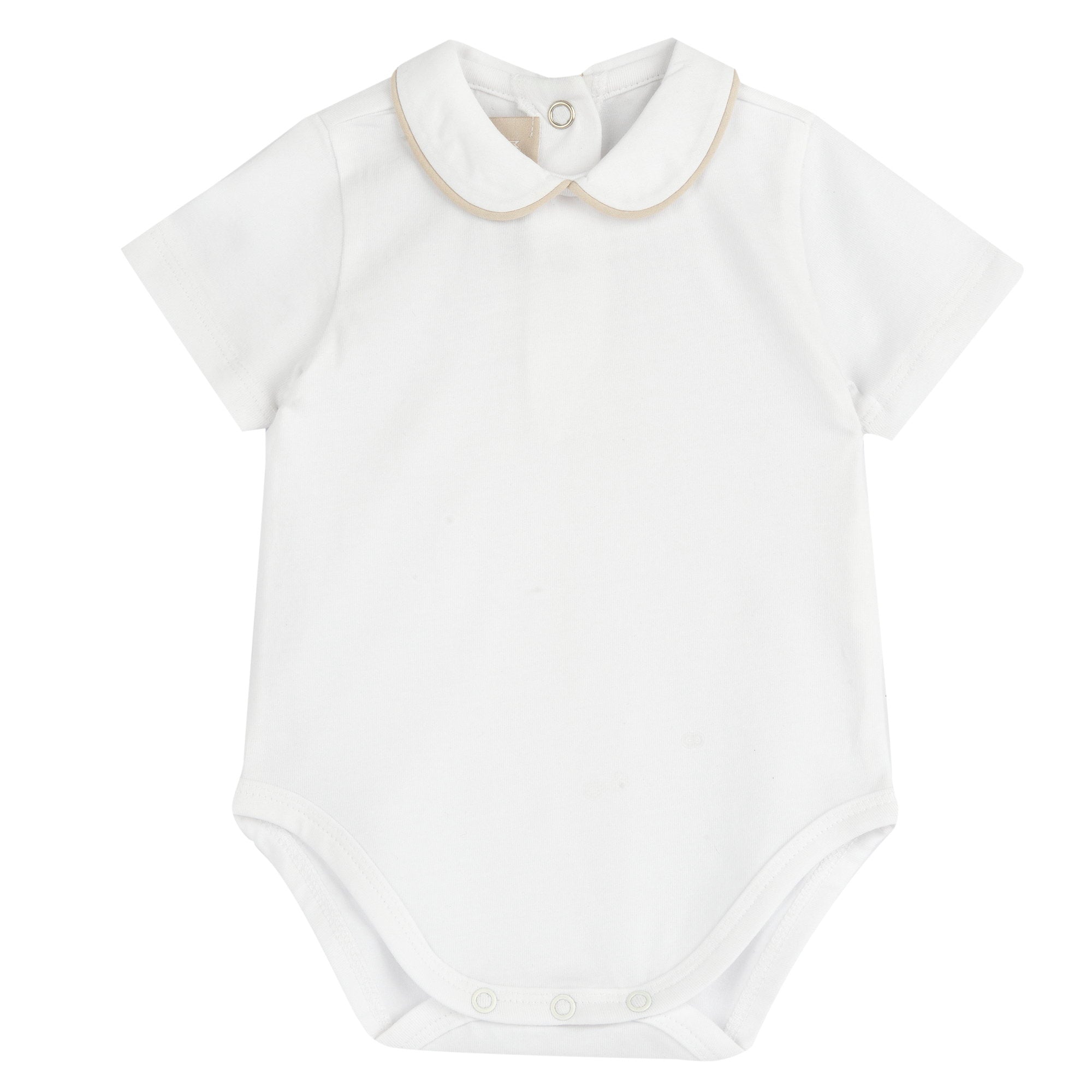 Body esternabile 101533